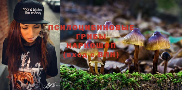 меф Белокуриха