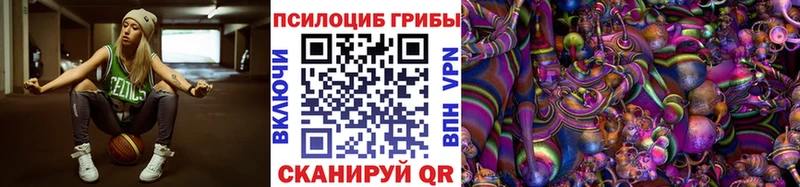 мега tor  Кувандык  Псилоцибиновые грибы мухоморы  где купить наркоту 